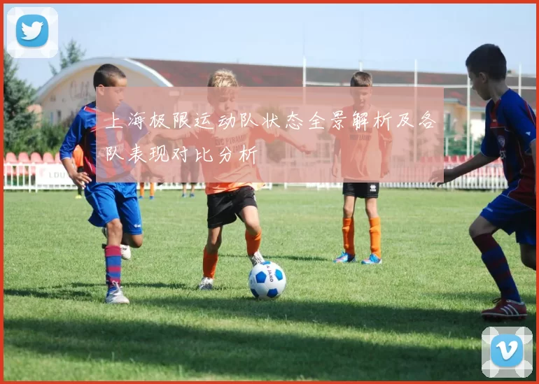 上海极限运动队状态全景解析及各队表现对比分析