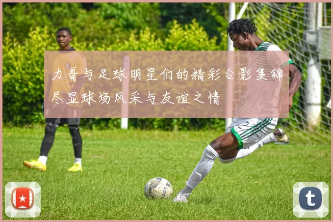 力哥与足球明星们的精彩合影集锦尽显球场风采与友谊之情