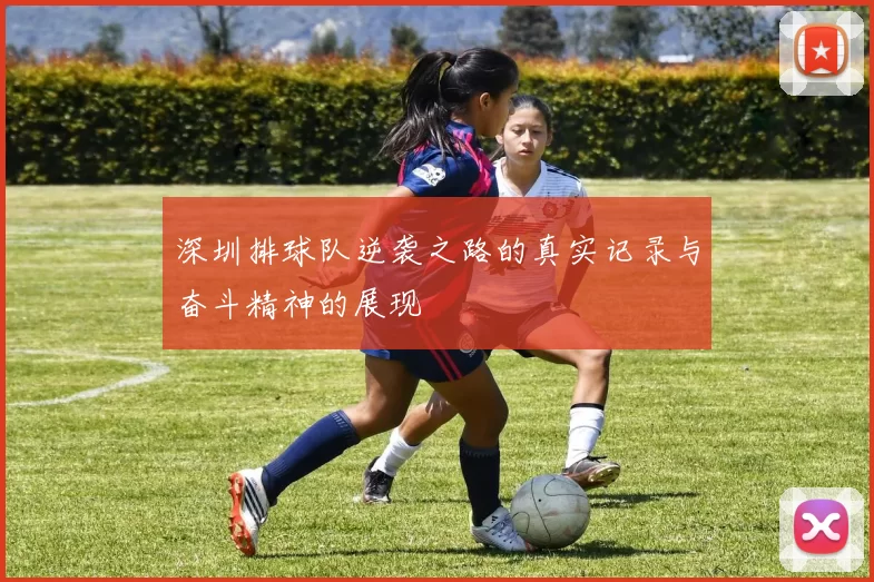 深圳排球队逆袭之路的真实记录与奋斗精神的展现