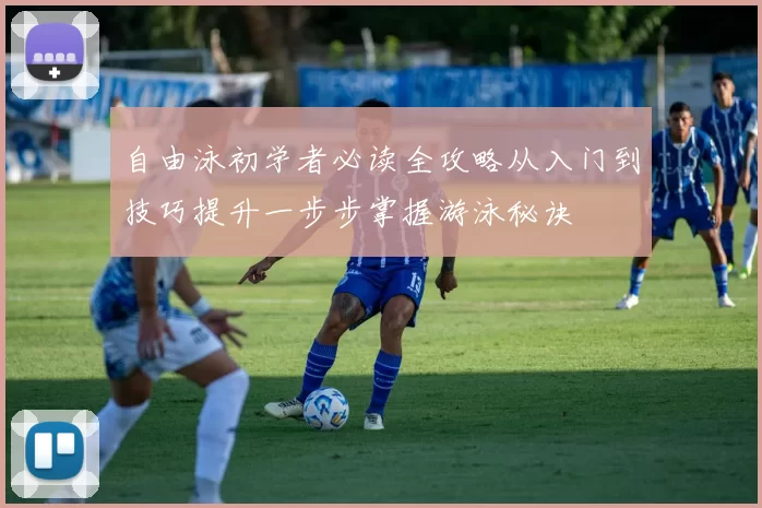 自由泳初学者必读全攻略从入门到技巧提升一步步掌握游泳秘诀