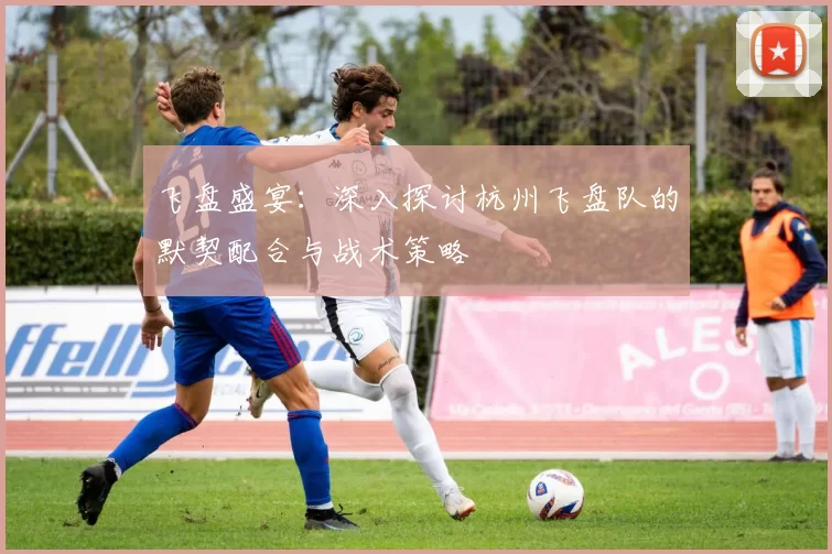 飞盘盛宴：深入探讨杭州飞盘队的默契配合与战术策略
