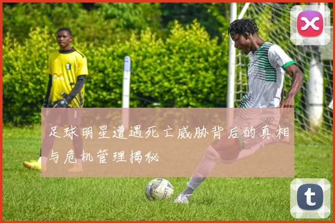 足球明星遭遇死亡威胁背后的真相与危机管理揭秘