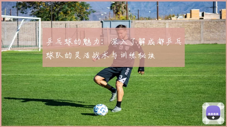 乒乓球的魅力：深入了解成都乒乓球队的灵活战术与训练秘诀
