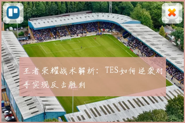 王者荣耀战术解析：TES如何逆袭对手实现反击胜利