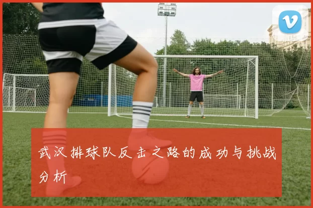 武汉排球队反击之路的成功与挑战分析
