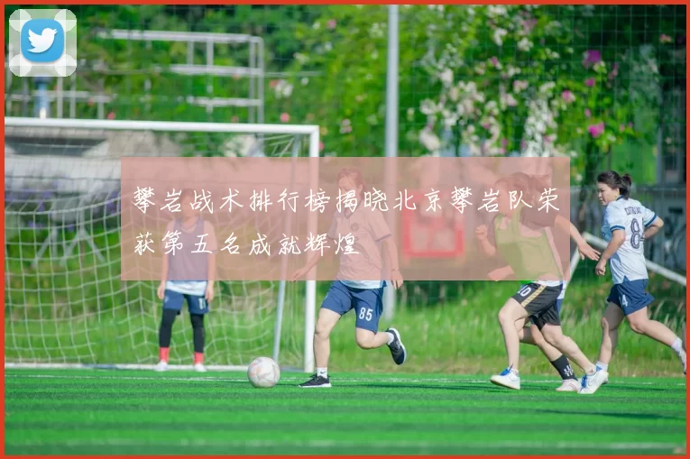 攀岩战术排行榜揭晓北京攀岩队荣获第五名成就辉煌