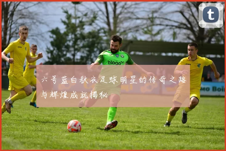 六号蓝白秋衣足球明星的传奇之路与辉煌成就揭秘