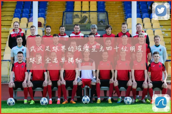武汉足球界的璀璨星光四十位明星球员全名单揭秘