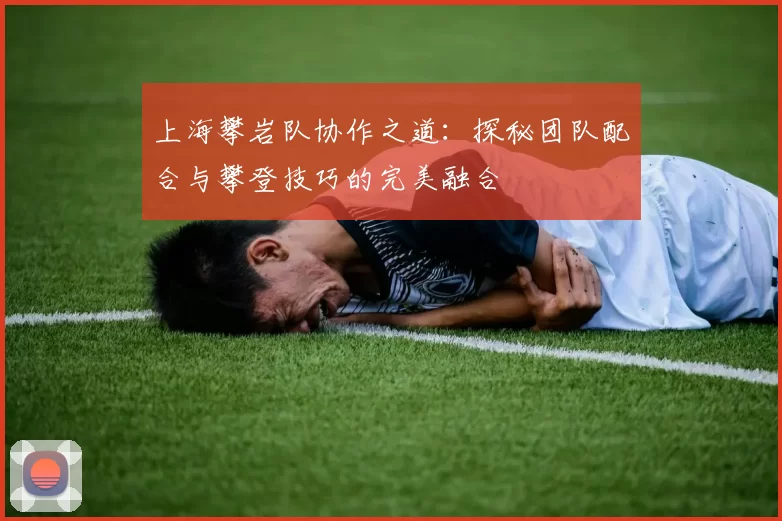 上海攀岩队协作之道：探秘团队配合与攀登技巧的完美融合