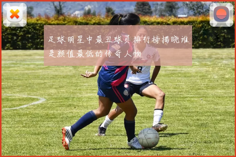 足球明星中最丑球员排行榜揭晓谁是颜值最低的传奇人物
