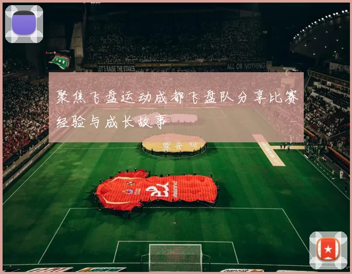 聚焦飞盘运动成都飞盘队分享比赛经验与成长故事