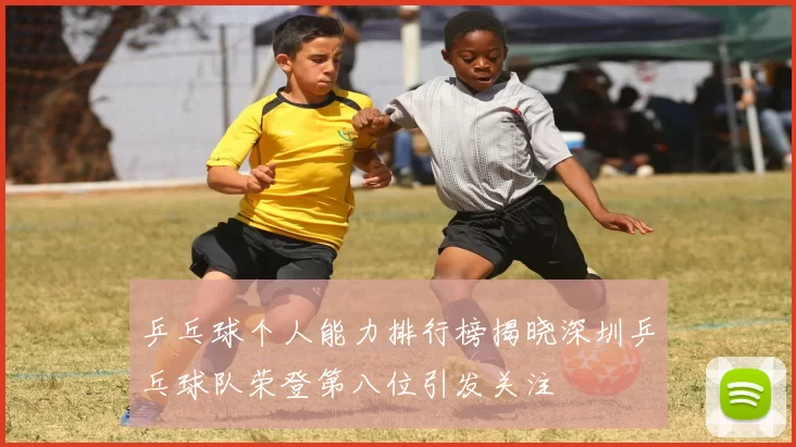乒乓球个人能力排行榜揭晓深圳乒乓球队荣登第八位引发关注