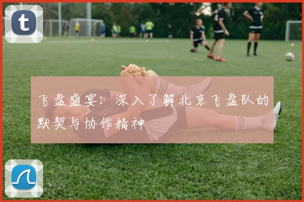 飞盘盛宴：深入了解北京飞盘队的默契与协作精神