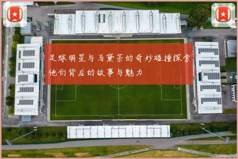 足球明星与马黛茶的奇妙碰撞探索他们背后的故事与魅力