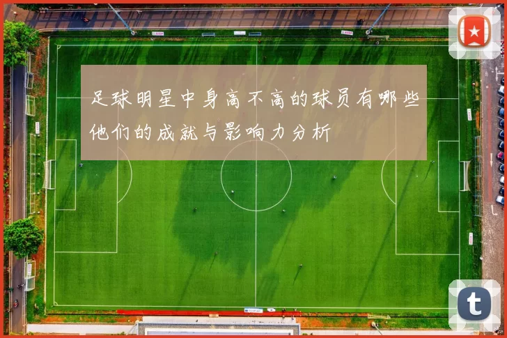足球明星中身高不高的球员有哪些他们的成就与影响力分析