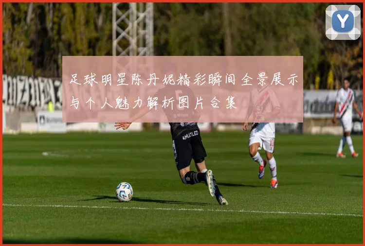 足球明星陈丹妮精彩瞬间全景展示与个人魅力解析图片合集