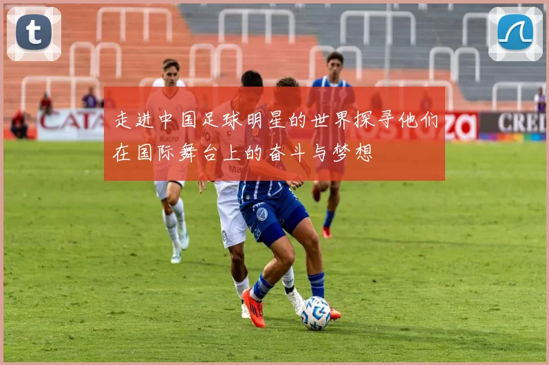 走进中国足球明星的世界探寻他们在国际舞台上的奋斗与梦想