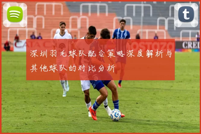 深圳羽毛球队配合策略深度解析与其他球队的对比分析