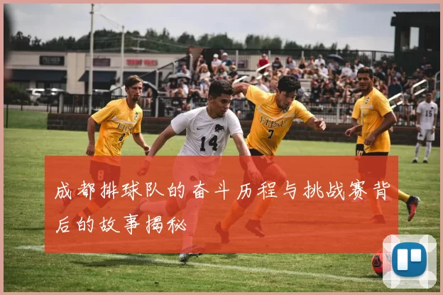 成都排球队的奋斗历程与挑战赛背后的故事揭秘