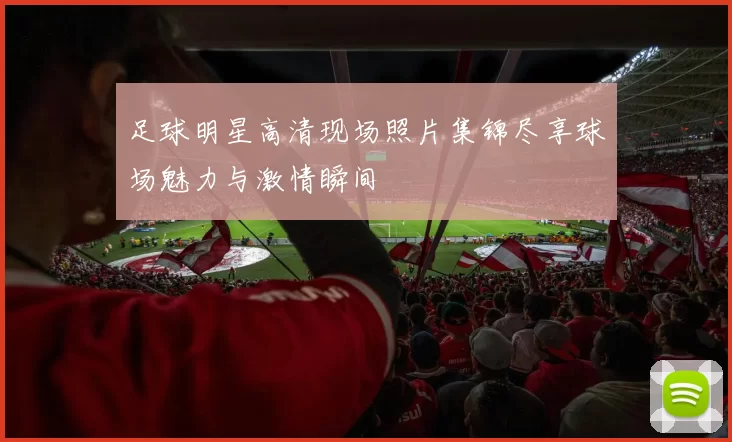 足球明星高清现场照片集锦尽享球场魅力与激情瞬间