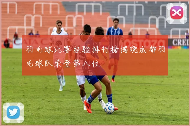 羽毛球比赛经验排行榜揭晓成都羽毛球队荣登第八位