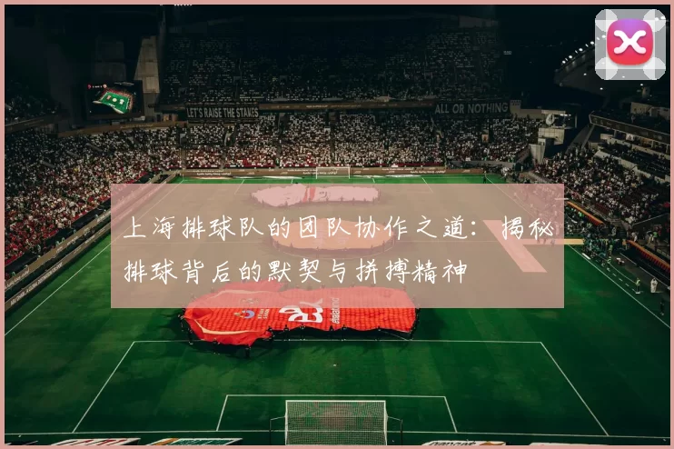 上海排球队的团队协作之道：揭秘排球背后的默契与拼搏精神